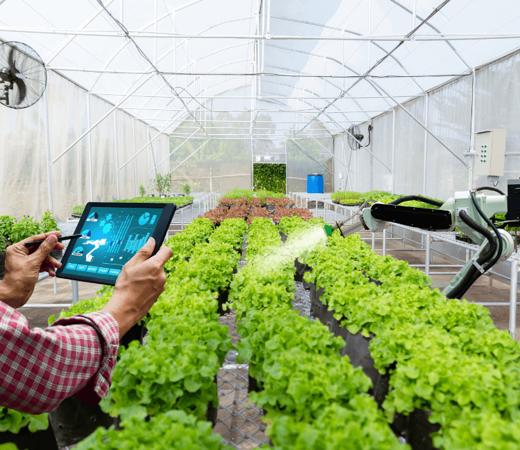 IoT water flow management system with smart meters and real-time monitoring dashboard for utility efficiency